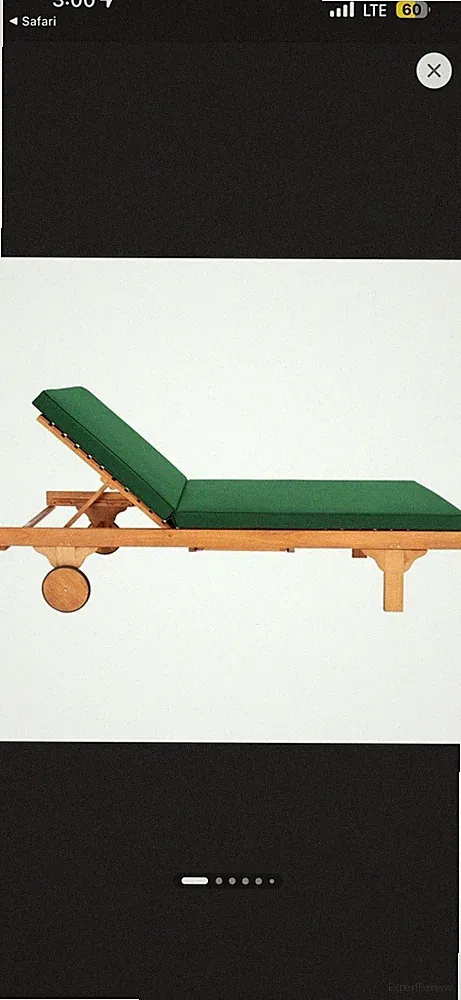 safavieh outdoor recliner